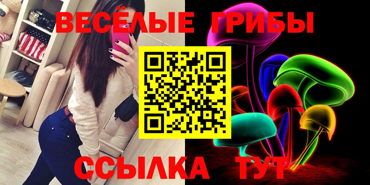 Псилоцибиновые грибы мухоморы  наркошоп  Вход с VPN  Елабуга  Галлюциногенные грибы Magic Shrooms 